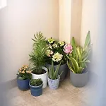 Family Manuela Apartment
