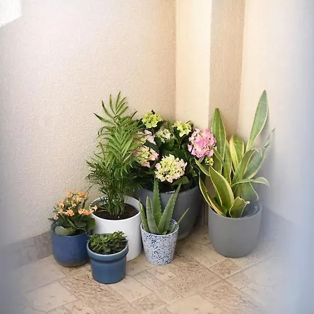 Family Manuela Apartman