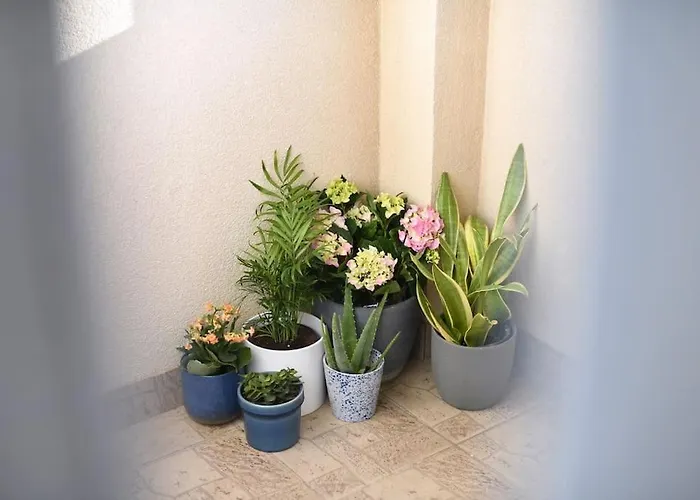 Family Manuela Apartman